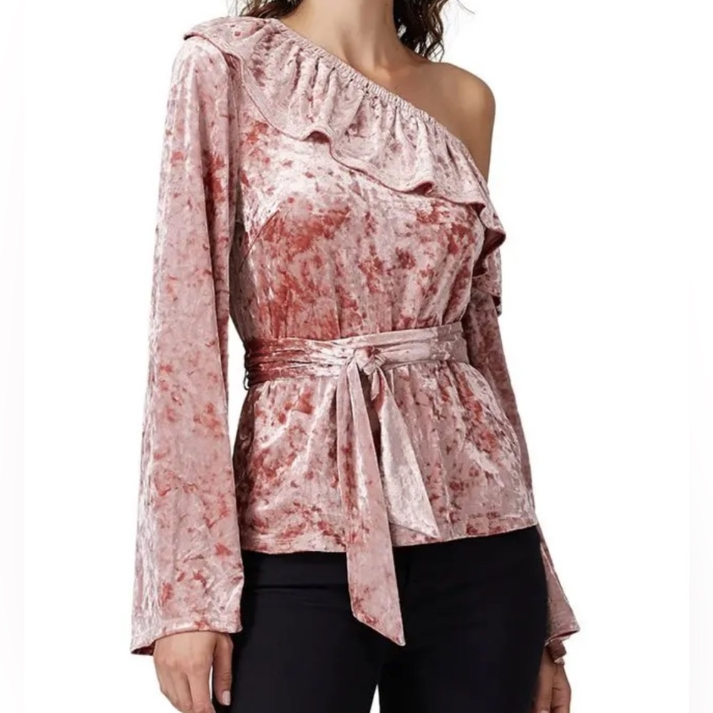Blush Velvet Clarissa Top by STYLESTALKER Size S One Shoulder Ruffle Top